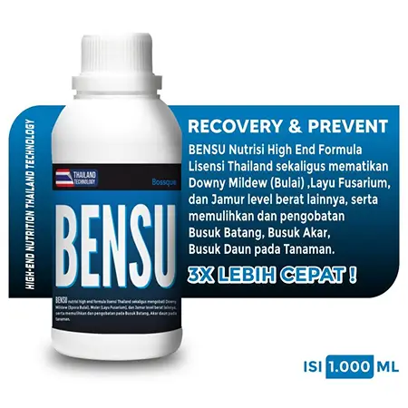 Produk Bensu Aussie Kaltim