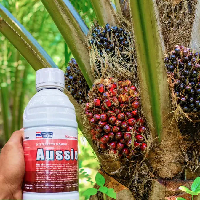 Produk Aussie Kaltim