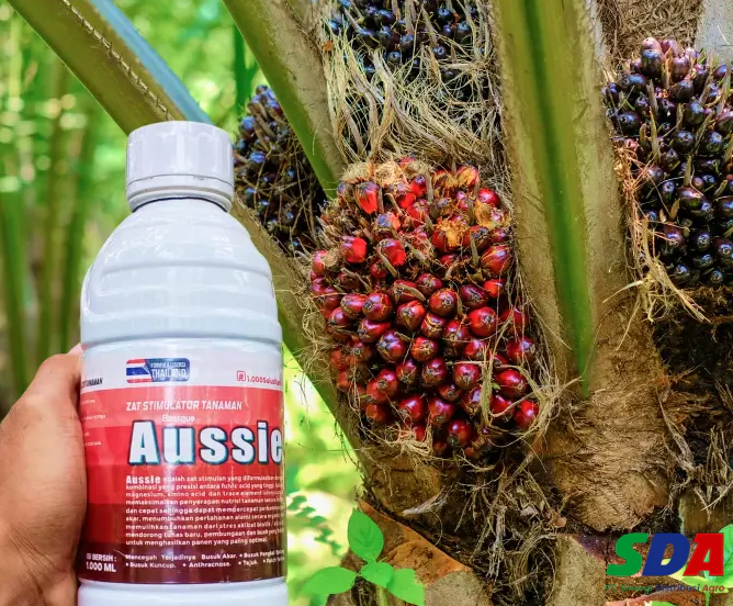distributor nutrisi sawit