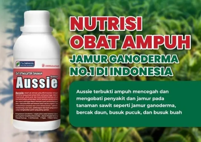 Harga Obat Aussie