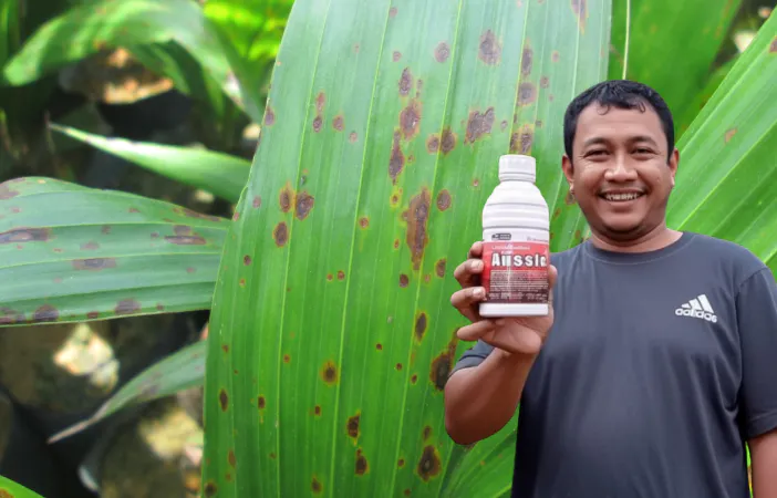 Obat Karat Daun Sawit